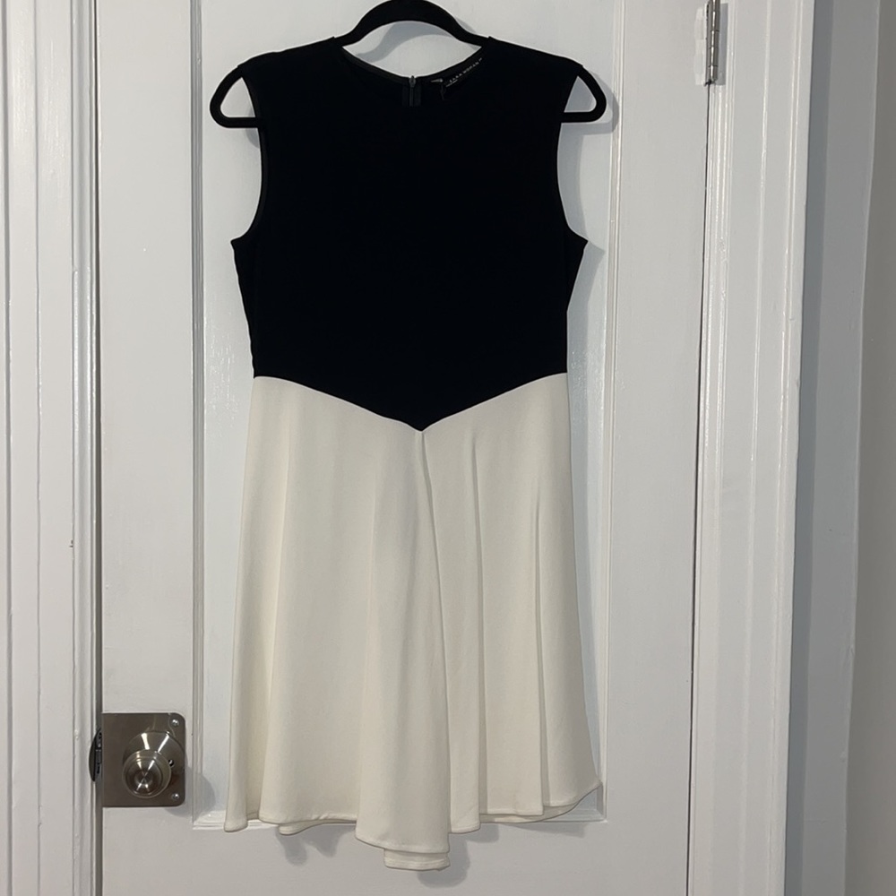 Brand New Zara Dress